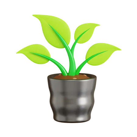 Plant Poly Bag  3D Icon