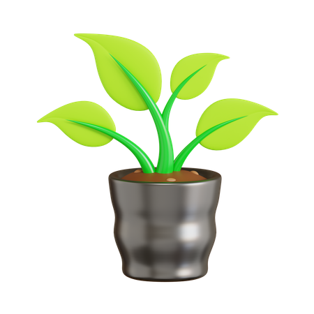 Plant Poly Bag  3D Icon