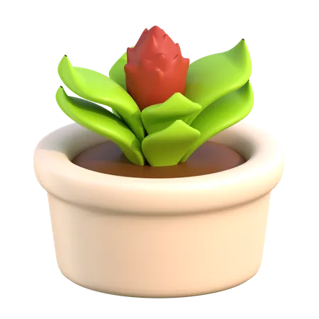 Plant Pot 3 D Spa Beauty Icon 3D Icon