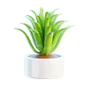 Plant Pot