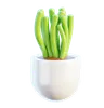 Plant Pot