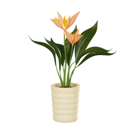 Bird Of Paradise Plant With This Stunning Perfect For Illustrating Exotic Flora Tropical Themes And Botanical Designs With Lifelike Detail 3 D Render Illustration 3D Icon