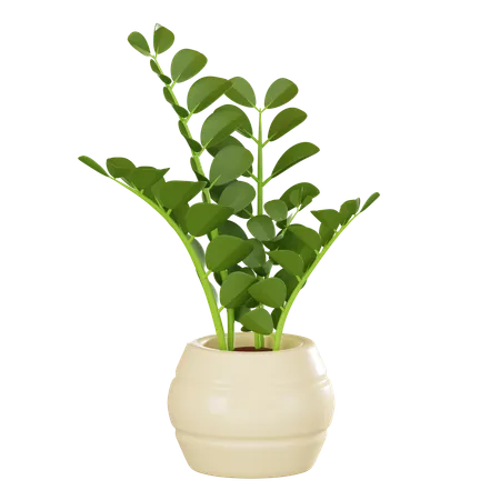 Zz Plant Perfect For Adding A Touch Of Botanical Elegance To Interior Design Projects And Home Decor Concepts 3 D Render Illustration 3D Icon