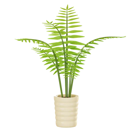 Parlor Palm In A Decorative Pot Perfect For Adding A Touch Of Botanical Elegance To Any Interior Space 3 D Render Illustration 3D Icon