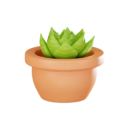 Succulent Plant Ideal For Adding A Touch Of Greenery To Home And Office Spaces Perfect For Botanical And Eco Friendly Themes 3 D Render Illustration 3D Icon