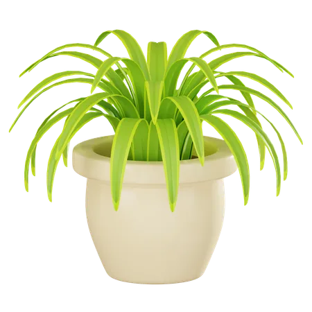 Featuring A Modern Spider Plant Pot Perfect For Adding A Touch Of Nature To Home Interiors Offices And Design Projects 3 D Render Illustration 3D Icon