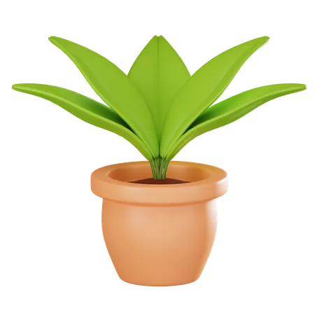 Potted Plant Captures The Essence Of Nature With Lifelike Details Ideal For Adding Touch Of Greenery To Your Projects Symbolizing Growth And Serenity In Indoor Settings 3 D Render Illustration 3D Icon
