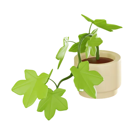Ivy Plant Pot Perfect For Adding A Touch Of Nature To Interior Designs Home Decor And Botanical Themed Projects 3 D Render Illustration 3D Icon
