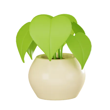 Heart Leaf Philodendron Plant Perfect For Botanical Enthusiasts Interior Decorators And Nature Lovers Seeking A Touch Of Greenery 3 D Render Illustration 3D Icon