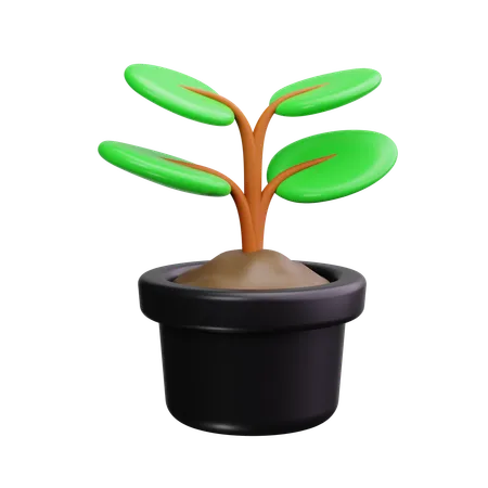 植木鉢  3D Icon