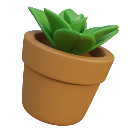 Plant Pot  3D Icon