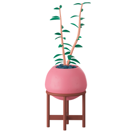 Plant Pot  3D Icon