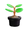 Plant Pot