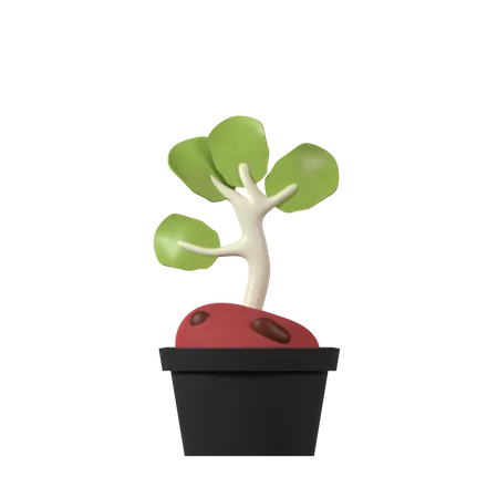 Plant Pot  3D Icon