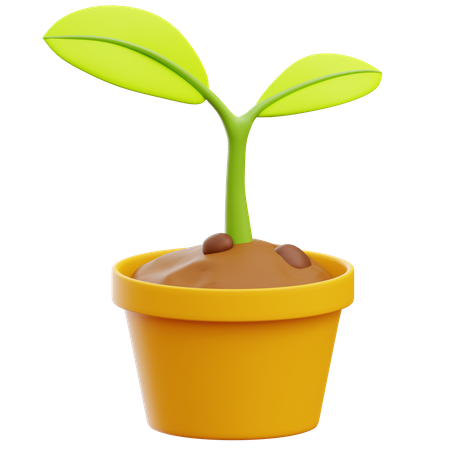 Plant Pot  3D Icon