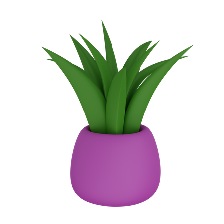 Plant Pot  3D Icon