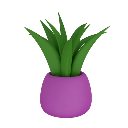 Plant Pot  3D Icon