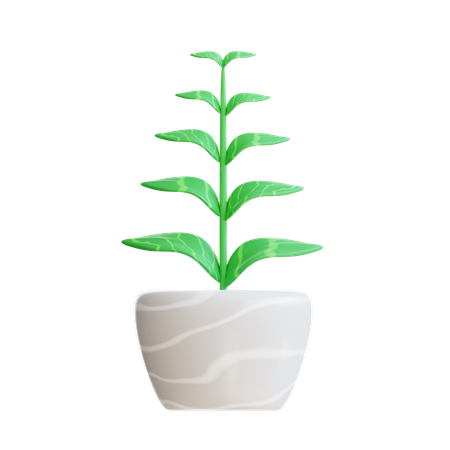 Plant Pot  3D Icon