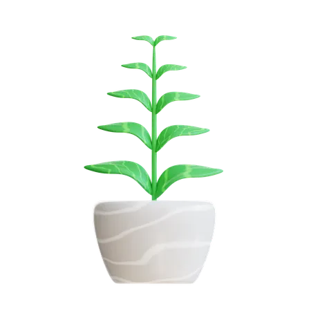 Plant Pot  3D Icon