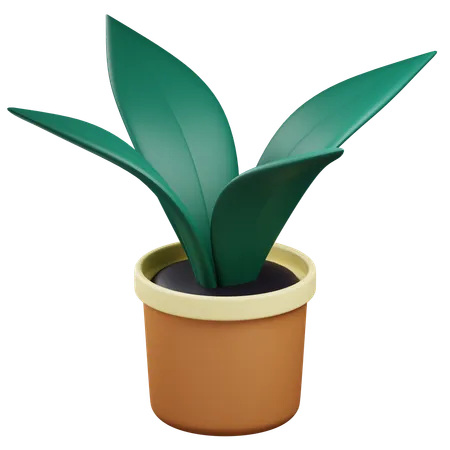 Plant Pot  3D Icon