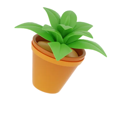 Plant Pot  3D Icon