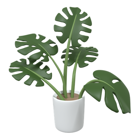 Plant Pot  3D Icon