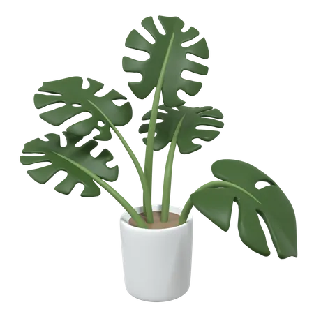 Plant Pot  3D Icon