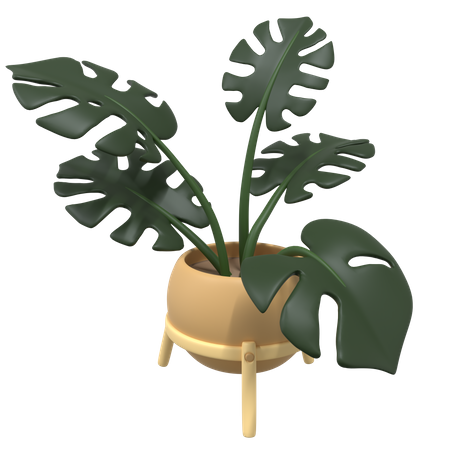 Plant Pot  3D Icon