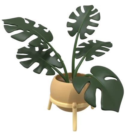 Plant Pot  3D Icon