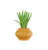 Plant Pot