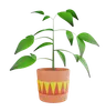 Plant Pot