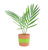 Plant Pot