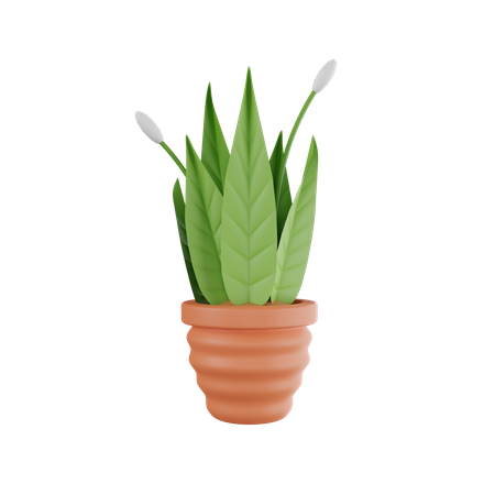 Plant Pot  3D Icon