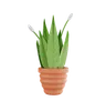 Plant Pot