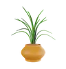 Plant Pot