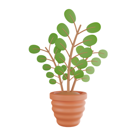 Plant Pot  3D Icon