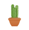 Plant Pot