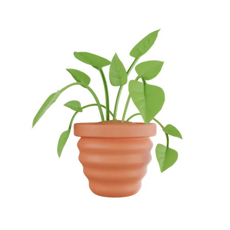 Plant Pot  3D Icon