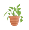 Plant Pot