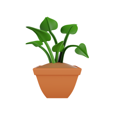 Plant Pot  3D Icon