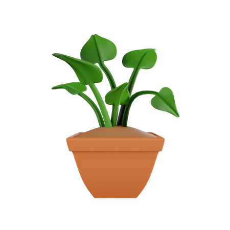 Plant Pot  3D Icon