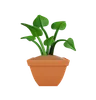 Plant Pot