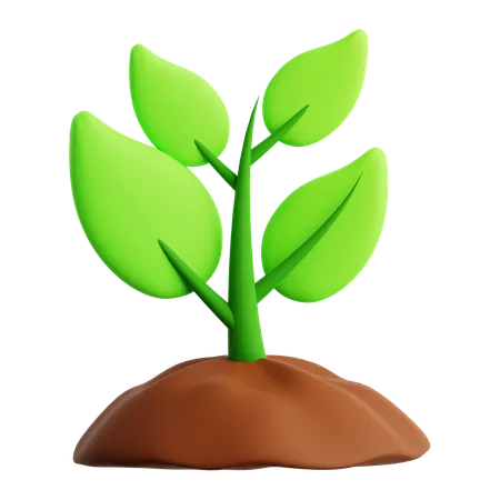 Plant Pot  3D Icon