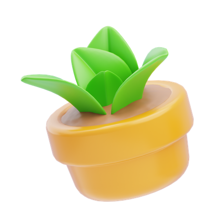 Plant Pot  3D Icon