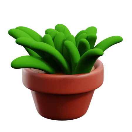 Plant Pot  3D Icon