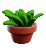 Plant Pot