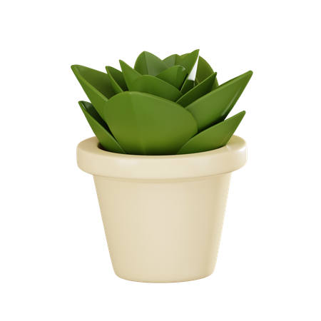 Plant Pot  3D Icon