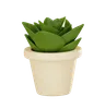 Plant Pot