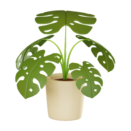 Plant Pot  3D Icon