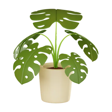 Plant Pot  3D Icon